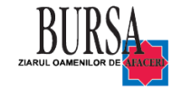Bursa